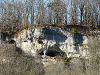 Falaise calcaire perçée de grottes